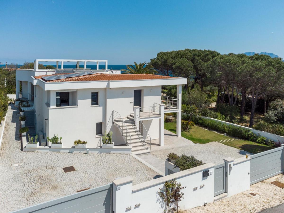 Wlofts 13 By Klodge Olbia Luaran gambar